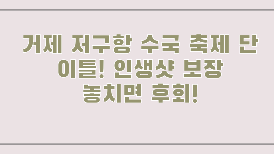 거제 저구항 수국 축제 단 이틀! 인생샷 보장 놓치면 후회!