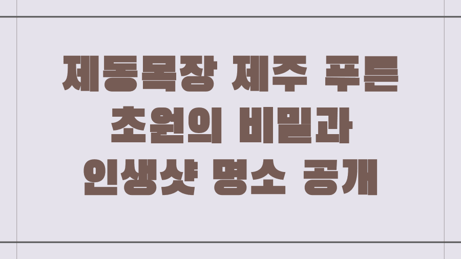 제동목장 제주 푸른 초원의 비밀과 인생샷 명소 공개